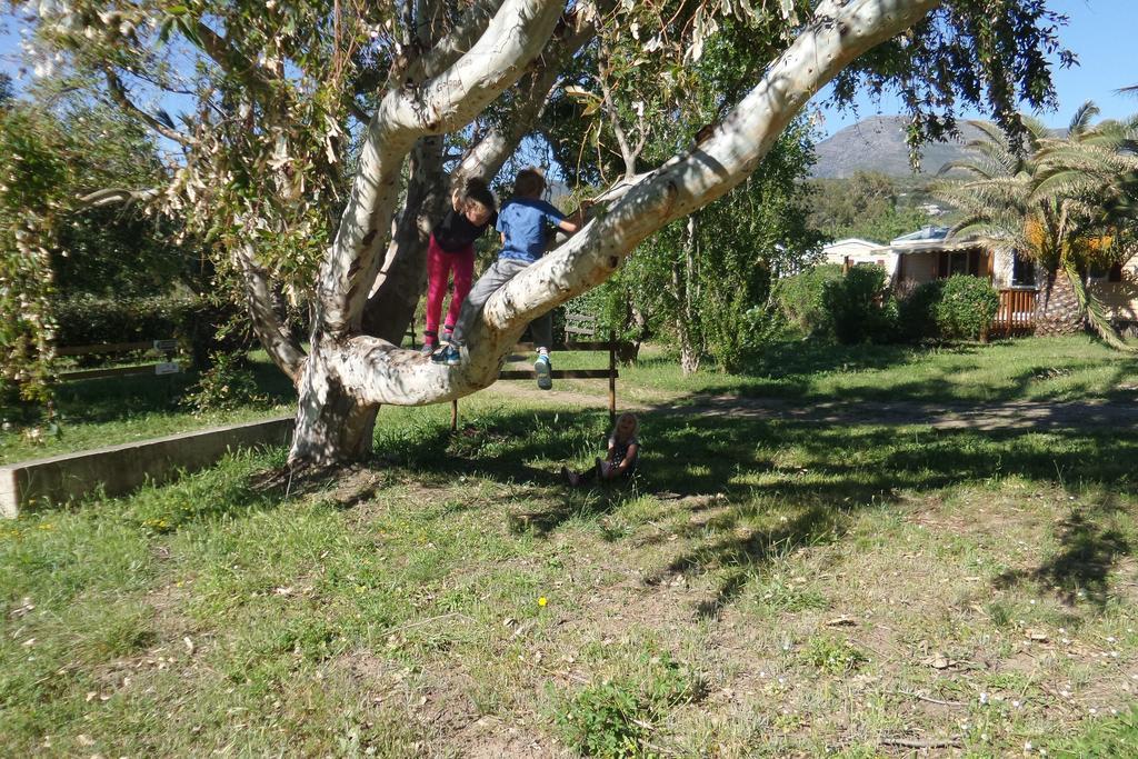 Camping Mobile Home U Sole Marinu Patrimonio Bagian luar foto