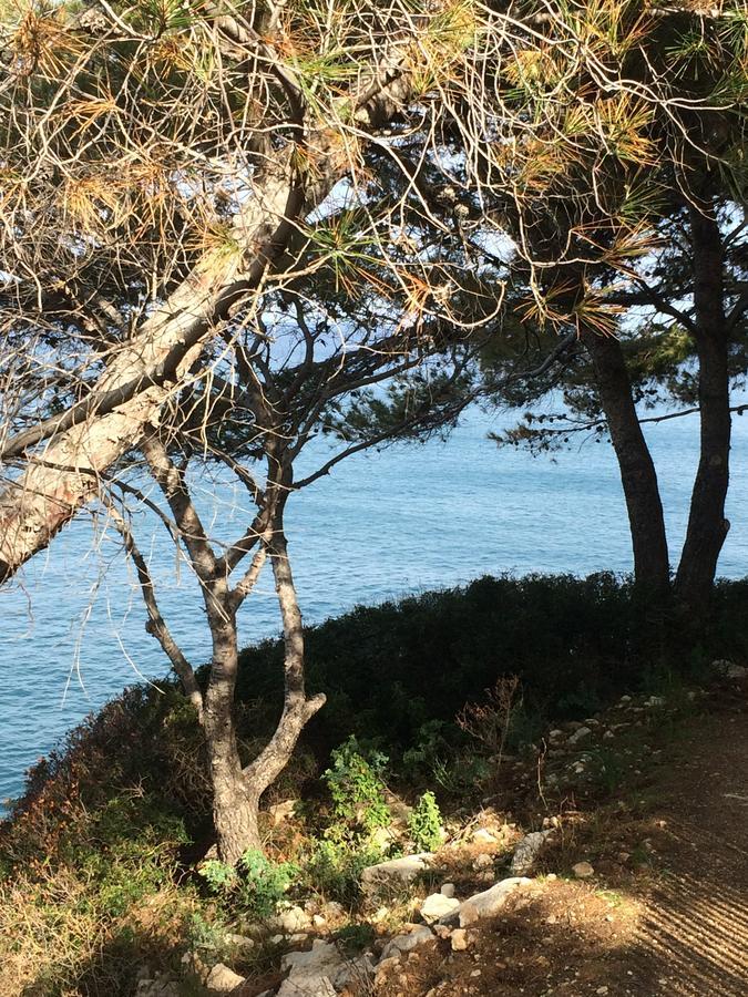 Camping Mobile Home U Sole Marinu Patrimonio Bagian luar foto